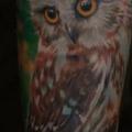 Arm Realistic Owl tattoo by Negative Karma