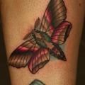 Calf Moth tattoo by Nemesis Tattoo