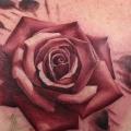 tatuaje Hombro Realista Rosa por Nemesis Tattoo