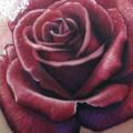 tatuaje Realista Flor Rosa por Steve Wimmer