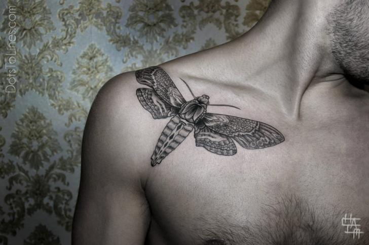 Shoulder Dotwork Moth Tattoo by Dots To Lines