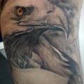 Arm Realistic Eagle tattoo by 2nd Face