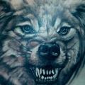 Shoulder Realistic Wolf tattoo by Vaso Vasiko Tattoo