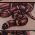 Realistische Schlangen 3d tattoo von Yomico Art
