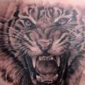 tatuaje Pecho Tigre por Bio Art Tattoo