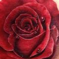 Realistische Blumen Rose tattoo von Requiem Body Art