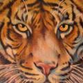 Schulter Realistische Tiger tattoo von Requiem Body Art