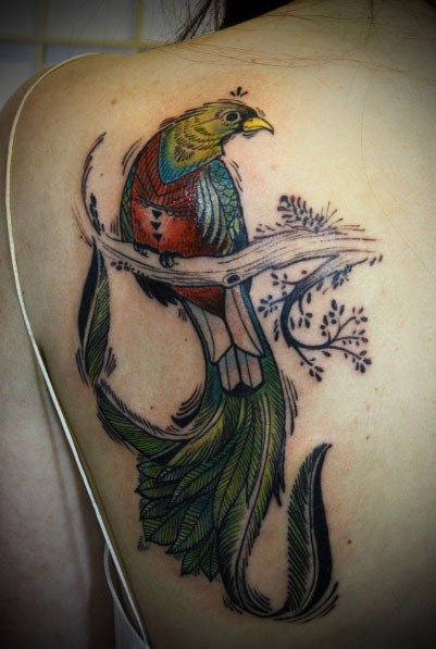 Back Bird Tattoo by David Hale