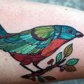 tatuaje Brazo Pájaro por David Hale