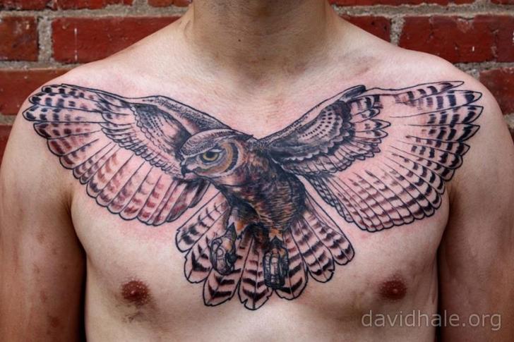 Tatuaggio Petto Gufo di David Hale