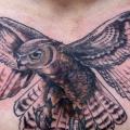 Chest Owl tattoo by David Hale