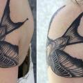 Shoulder Bird tattoo by David Hale