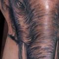tatuaje Realista Pierna Elefante por Ryan Bernardino
