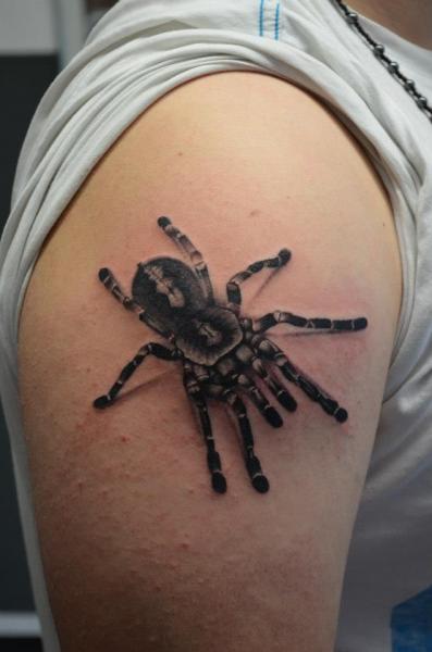 Shoulder Realistic Spider Tattoo by Freaky Colours