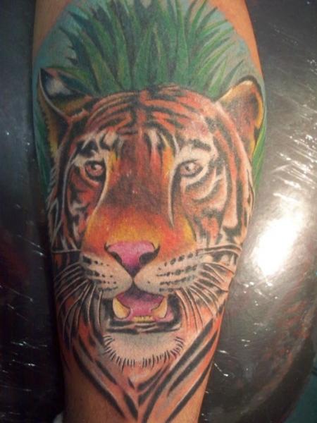 Arm Realistic Tiger Tattoo by Mandinga Tattoo