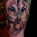 Arm Realistic Owl tattoo by Rock Ink