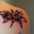 Shoulder Realistic Spider 3d tattoo by Rock Ink