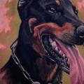 Realistische Hund Rücken tattoo von Heaven Of Colours