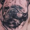 Shoulder Dog tattoo by JH Tattoo
