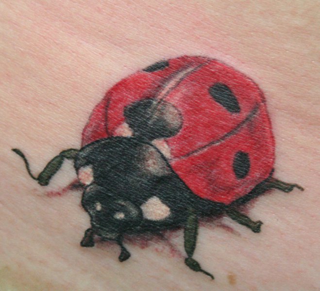 Ladybug Tattoo by Kaeru Tattoo