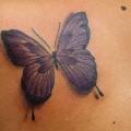 Shoulder Butterfly tattoo by La Mano Zurda