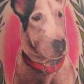 Schulter Realistische Hund tattoo von Tattoo Blue Cat