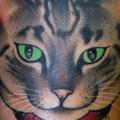 Arm Cat tattoo by Jim Sylvia