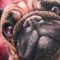 Realistische Hund tattoo von Corpse Painter