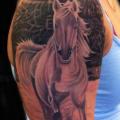Schulter Realistische Pferd tattoo von Yakuza Tattoo