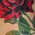Realistic Flower Side Rose tattoo by Cuba Tattoo