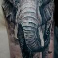 Shoulder Realistic Elephant tattoo by Pavel Roch
