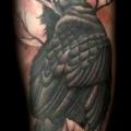 Arm Old School Crow tattoo by Justin Hartman