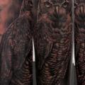 Arm Realistic Owl tattoo by Stefano Alcantara