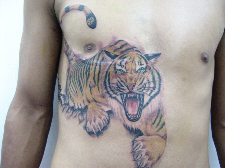 Tatuaż Realistyczny Tygrys Brzuch przez Amor De Madre