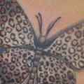 Seite Schmetterling tattoo von Nirvana Tattoo