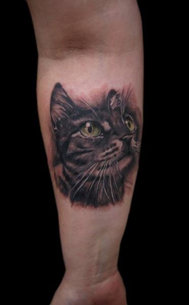 Tatuagem Braço Realísticas Gato por Tattoo Chaman