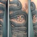 tatuaje Brazo Realista Serpiente por Tattoo Chaman
