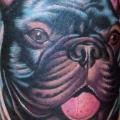 Arm Realistische Hund tattoo von Chalice Tattoo