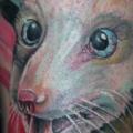 Realistic Mouse tattoo by Mancia Tattoos