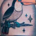 Old School Toucan tattoo by Zoi Tattoo