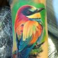 Arm Realistic Bird tattoo by Restless Soul Tattoo