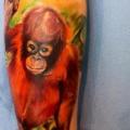 Arm Realistic Monkey tattoo by Restless Soul Tattoo
