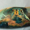 Arm Realistic Turtle tattoo by Restless Soul Tattoo
