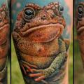 Arm Realistic Frog tattoo by Anabi Tattoo
