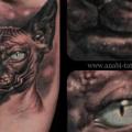 tatuaje Realista Gato por Anabi Tattoo