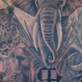 Rücken Elefant Tiger Stier tattoo von Evil Twins Tattoo