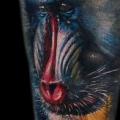 Arm Realistische Affe tattoo von Ink-Ognito