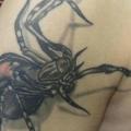 Shoulder Realistic Spider tattoo by Art 4 Life Tattoo