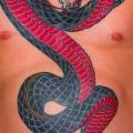 tatuaje Serpiente Pecho Old School Vientre por Skull and Sword