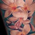 tatuaggio Braccio Realistici Fiore di Nadelwerk